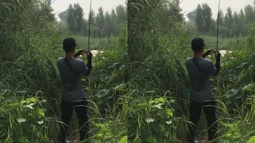 鱼圈吃瓜群众,揭秘娱乐圈最新热点事件