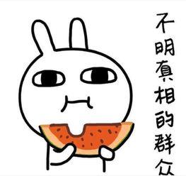 吃瓜案件搞笑解说全集,笑料百出，揭秘娱乐圈搞笑解说全集