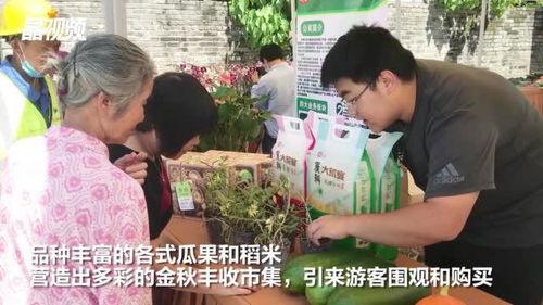 博兴幸福吃瓜事件视频