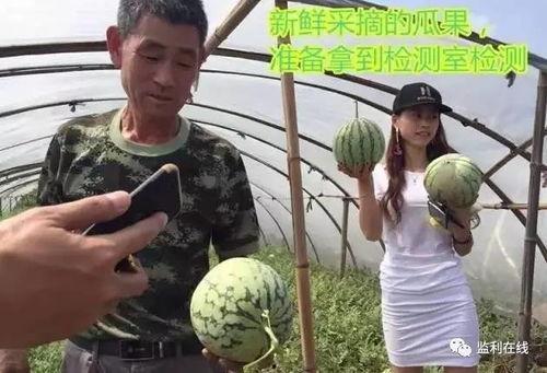 吃瓜群众领队正在直播,吃瓜群众领队带你揭秘幕后花絮