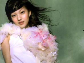 吃瓜群众张韶涵,吃瓜群众眼中的娱乐圈风云人物