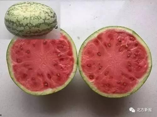 周围的人吃瓜,一场别开生面的邻里盛宴