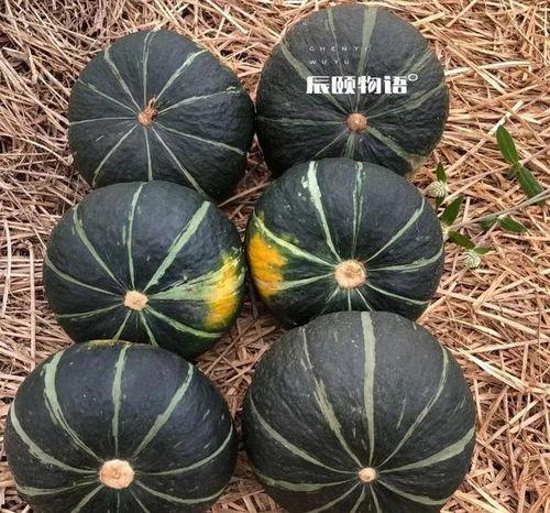 周围的人吃瓜,一场别开生面的邻里盛宴