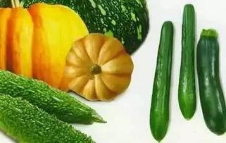 江影吃瓜,揭秘娱乐圈幕后故事