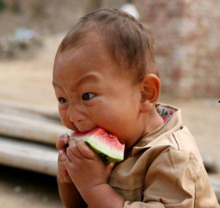 吃瓜小逗比,揭秘娱乐圈那些逗比趣事