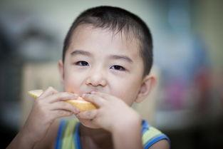 吃瓜小逗比,揭秘娱乐圈那些逗比趣事