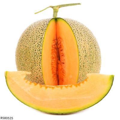 猿猴吃哈密瓜,自然界的和谐一幕