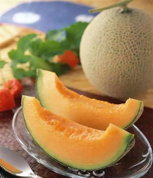 猿猴吃哈密瓜,自然界的和谐一幕