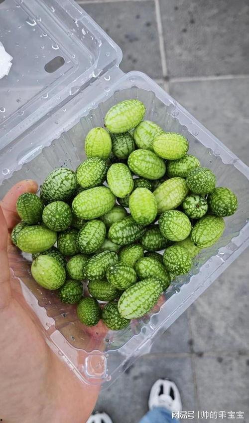 可以吃的麻瓜,解锁日常生活中的美味奥秘