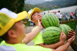 大型吃瓜现场在线吃瓜,线上围观，揭秘娱乐圈风云变幻