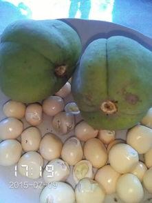 吃瓜歌什么瓜不能吃啊,吃瓜歌中那些禁忌的“瓜”