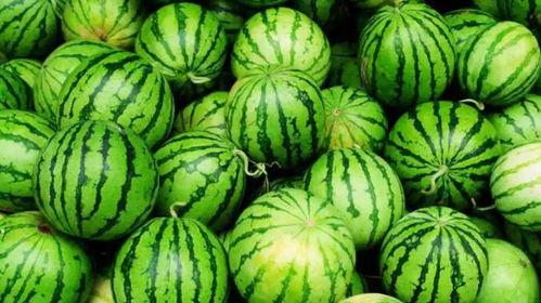 网爆吃瓜网,揭秘网络热点背后的真相与笑料