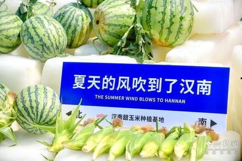 网爆吃瓜网,揭秘网络热点背后的真相与笑料