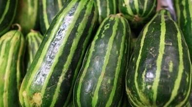 吃瓜吗吃谁的瓜,吃瓜群众聚焦谁家的瓜