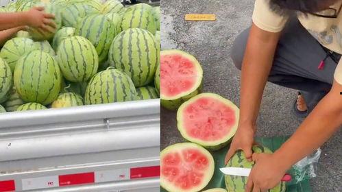 吃瓜生还是熟,探寻生熟瓜的独特风味