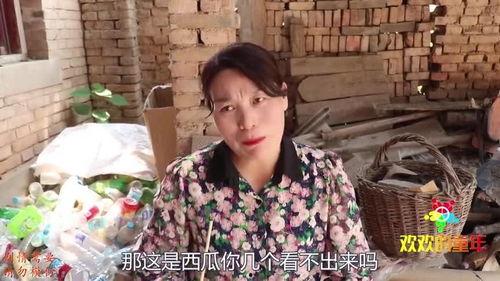 吃瓜欢欢,揭秘娱乐圈幕后故事