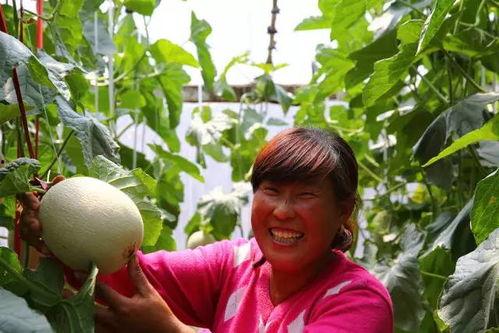 在18线吃瓜,揭秘吃瓜群众的狂欢盛宴