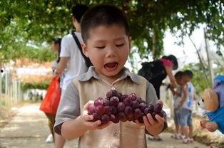 吃瓜中转群,网络社交新现象背后的故事