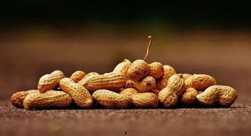 吃瓜胃里反酸,揭秘胃酸过多背后的秘密