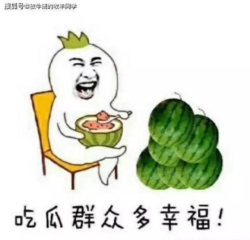 吃瓜游戏打麻将,一场别开生面的娱乐盛宴