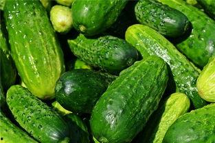 梦见自己拿瓜吃瓜