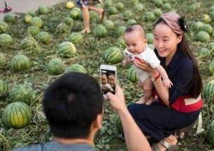 毕业照片吃瓜,揭秘校园里的欢乐时光