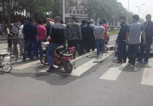 车祸撞车吃瓜狗,撞车瞬间，吃瓜狗成意外焦点