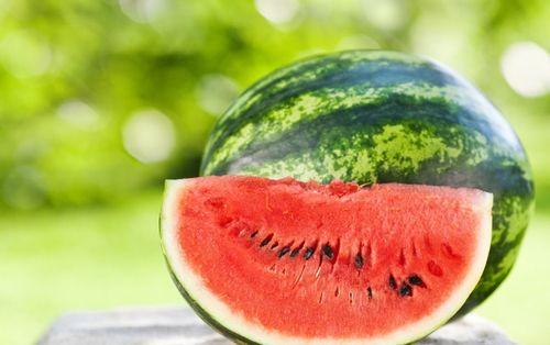 滕州中介租房吃瓜