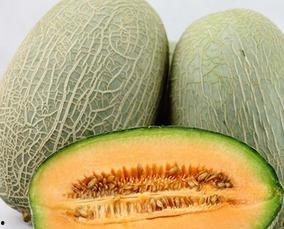 呕吐 吃哈密瓜,揭秘美味背后的健康隐患