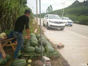 搬张凳子吃瓜,品味人间百态——搬张凳子吃瓜记