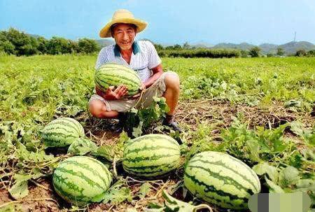 临海论坛塘头路吃瓜,临海论坛网友热议街头美食