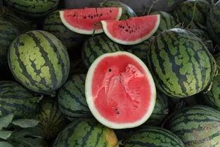 电梯吃瓜被抢瓜