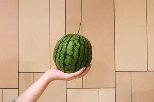 在瓜甜前线徘徊吃瓜,揭秘娱乐圈的甜蜜与苦涩