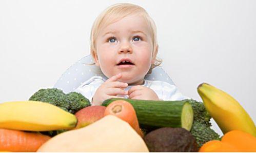 航宝成长记吃瓜,瓜田里的欢乐时光