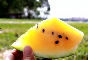 最近有什么色情吃瓜