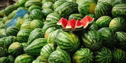 分享免费吃瓜,共享快乐时光！