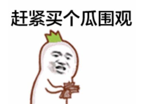 喜喜熊猫吃瓜群众,吃瓜群众的欢乐盛宴