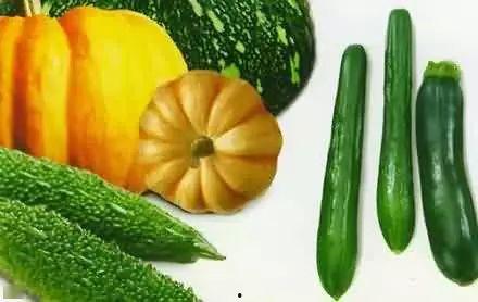 老马吃瓜,揭秘娱乐圈的幕后故事