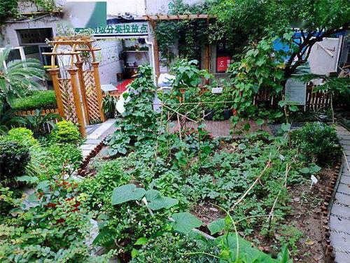 小区外边吃瓜贩,揭秘小区外瓜贩的美食传奇