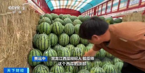 永顺吃瓜,揭秘当地特色美食背后的故事