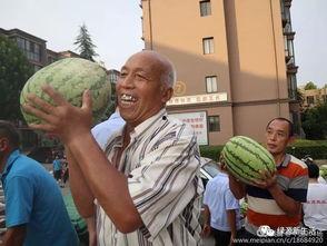 文明吃瓜,品味生活，共享快乐时光