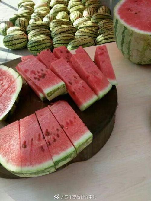 成都大学吃瓜爆料,吃瓜爆料揭秘校园热点事件