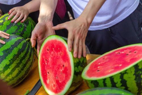 成都大学吃瓜爆料,吃瓜爆料揭秘校园热点事件