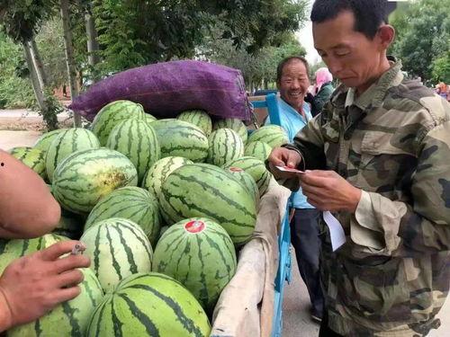 吃瓜宝藏库,娱乐圈幕后故事大公开