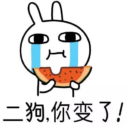 二狗吃瓜图片,笑谈人间百态