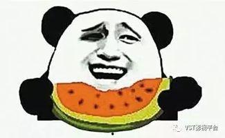 吃瓜群众安坐观虎斗,一场精彩纷呈的较量