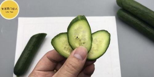 在家里吃瓜视频,揭秘家庭吃瓜视频的魅力